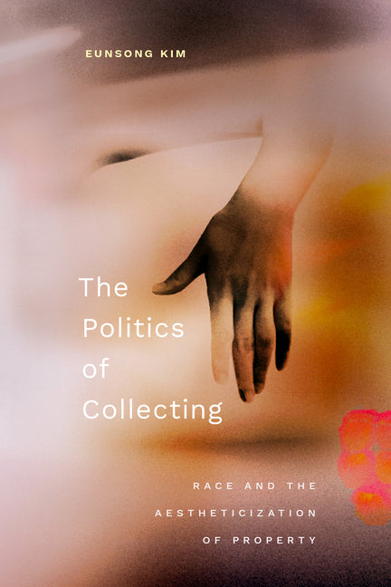 Book cover for Politics of Collecting: Race and the Aestheticization of Property