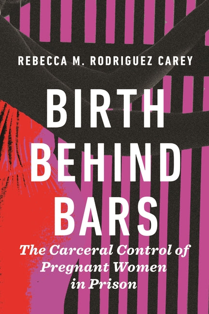 Book cover for Birth Behind Bars: The Carceral Control of Pregnant Women in Prison
