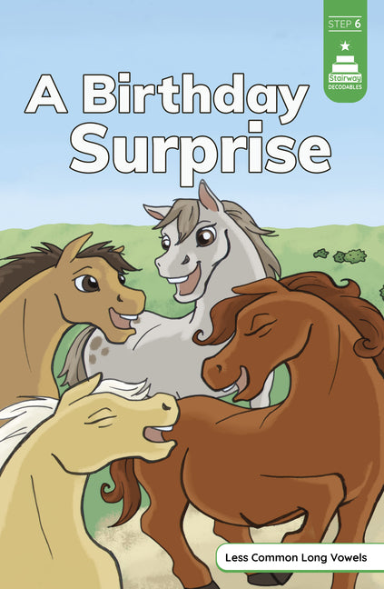 Book cover for Birthday Surprise