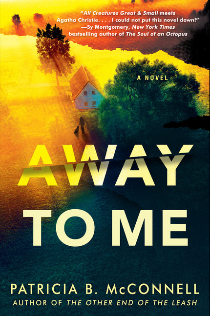 Book cover for Away to Me