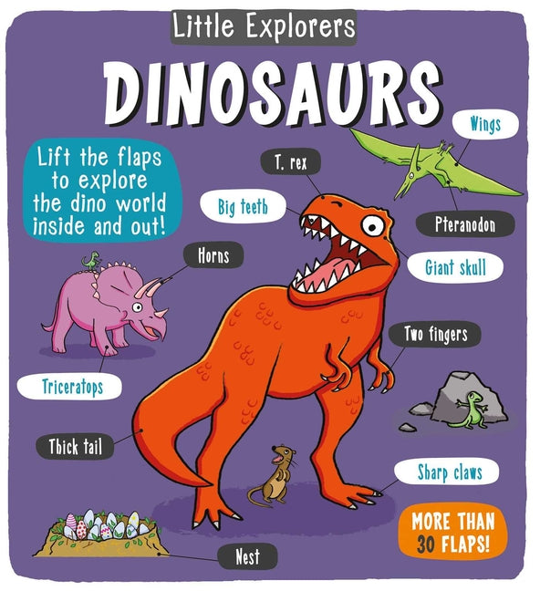 Book cover for Little Explorers: Dinosaurs