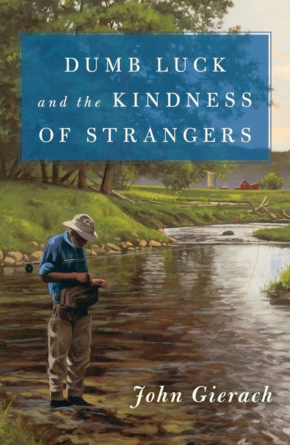 Book cover for Dumb Luck and the Kindness of Strangers