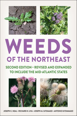 Book cover for Weeds of the Northeast
