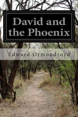 Book cover for David and the Phoenix