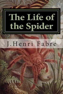 Book cover for The Life of the Spider