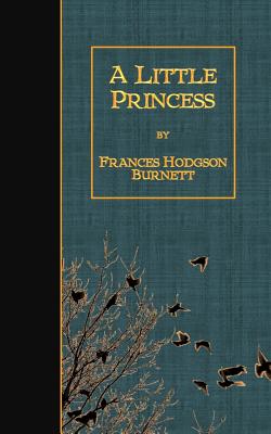 Book cover for A Little Princess