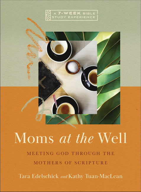 Book cover for Moms at the Well: Meeting God Through the Mothers of Scripture--A 7-Week Bible Study with Video Access