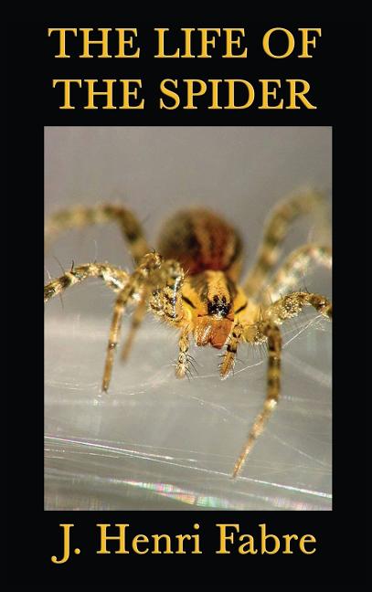 Book cover for The Life of the Spider