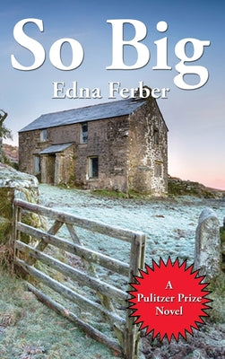 Book cover for So Big