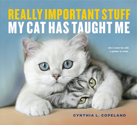 Book cover for Really Important Stuff My Cat Has Taught Me