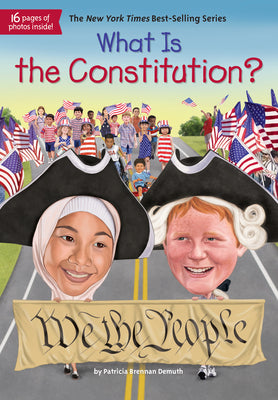 Book cover for What Is the Constitution?