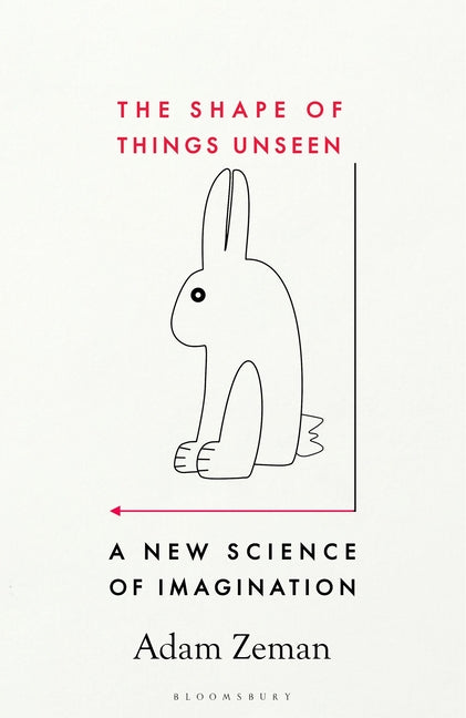 Book cover for Shape of Things Unseen: A New Science of Imagination