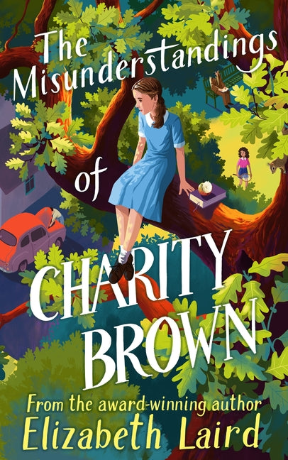Book cover for Misunderstandings of Charity Brown