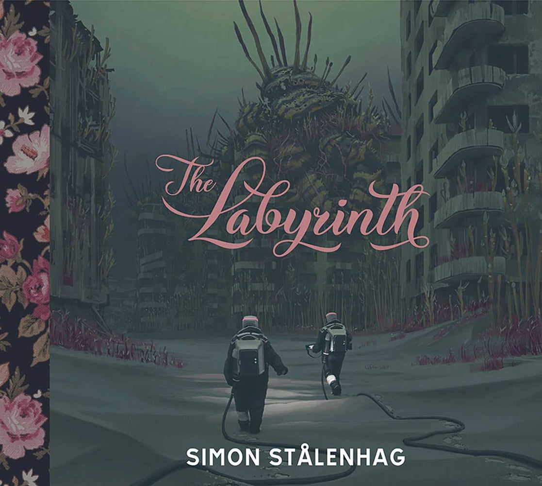 Book cover for Labyrinth
