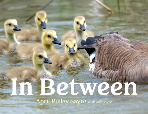Book cover for In Between