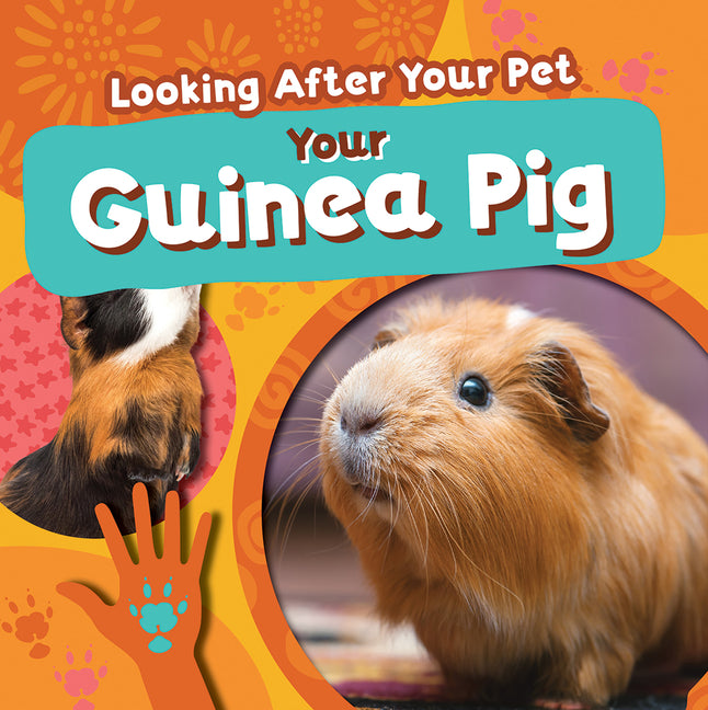 Book cover for Your Guinea Pig