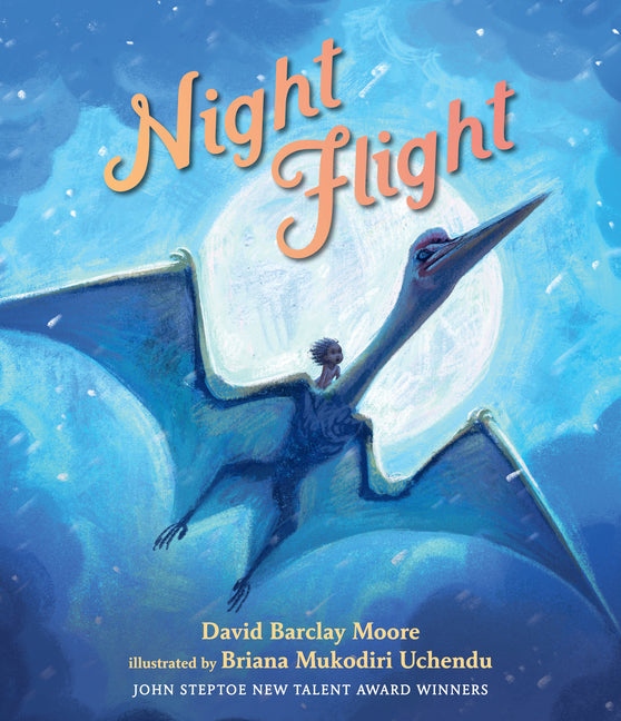 Book cover for Night Flight