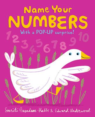 Book cover for Name Your Numbers