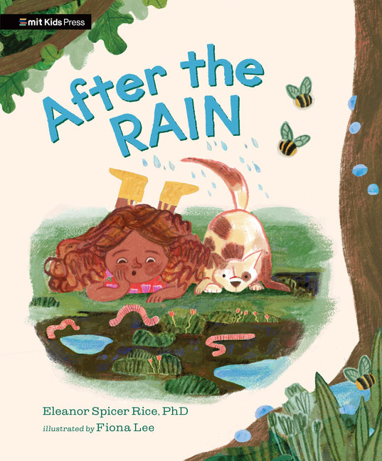 Book cover for After the Rain