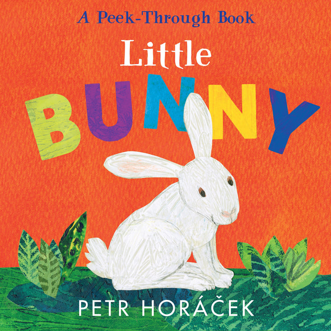 Book cover for Little Bunny