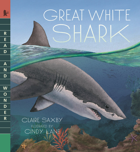 Book cover for Great White Shark