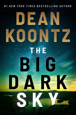 Book cover for The Big Dark Sky
