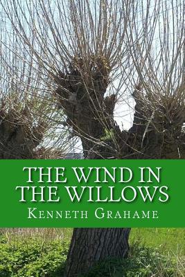 Book cover for The Wind in the Willows