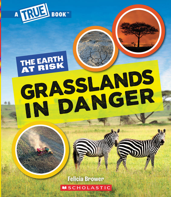 Book cover for Grasslands in Danger (a True Book: The Earth at Risk)