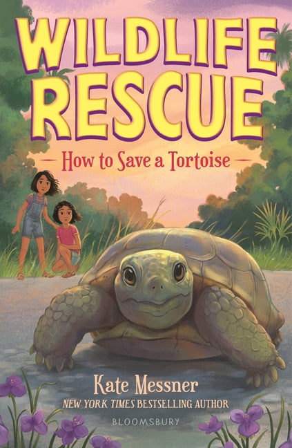 Book cover for How to Save a Tortoise