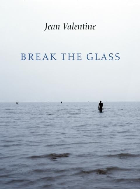 Book cover for Break the Glass