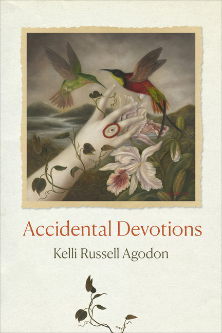 Book cover for Accidental Devotions