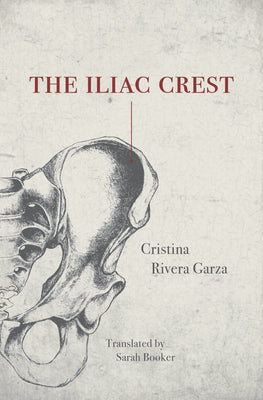 Book cover for The Iliac Crest