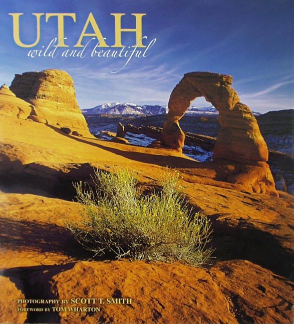 Book cover for Utah Wild and Beautiful