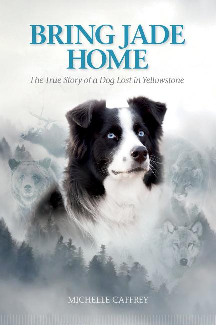 Book cover for Bring Jade Home: The True Story of a Dog Lost in Yellowstone