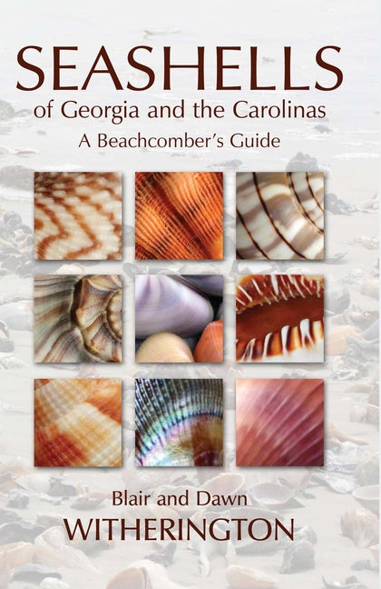 Book cover for Seashells of Georgia and the Carolinas: A Beachcomber's Guide