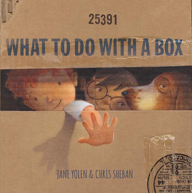 Book cover for What to Do with a Box