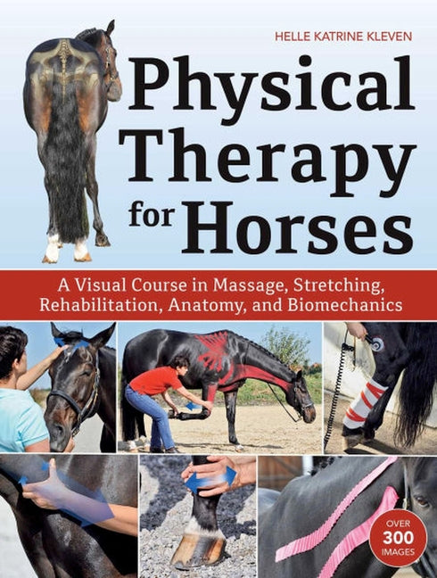 Book cover for Physical Therapy for Horses