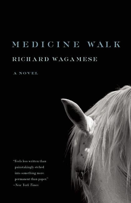 Book cover for Medicine Walk