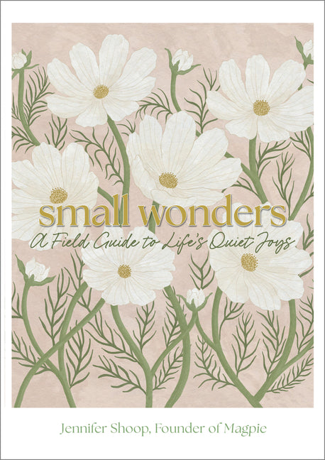 Book cover for Small Wonders: A Field Guide to Life's Quiet Joys