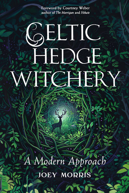 Book cover for Celtic Hedge Witchery--A Modern Approach