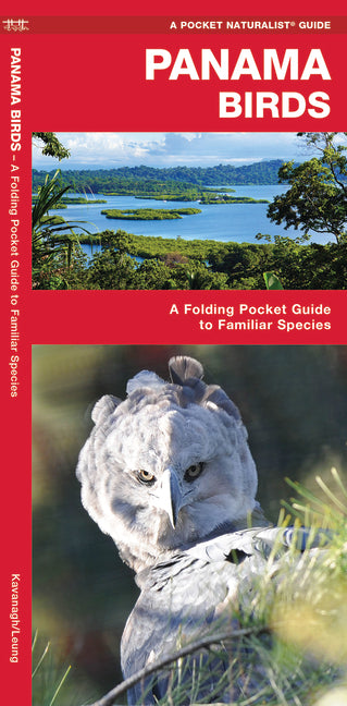 Book cover for Panama Birds