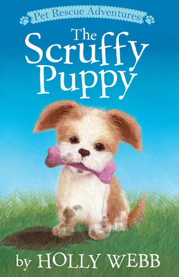 Book cover for The Scruffy Puppy