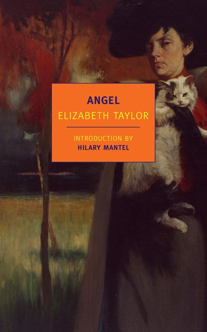 Book cover for Angel