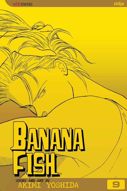 Book cover for Banana Fish, Vol. 9