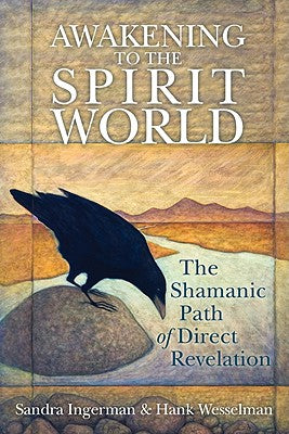 Book cover for Awakening to the Spirit World: The Shamanic Path of Direct Revelation