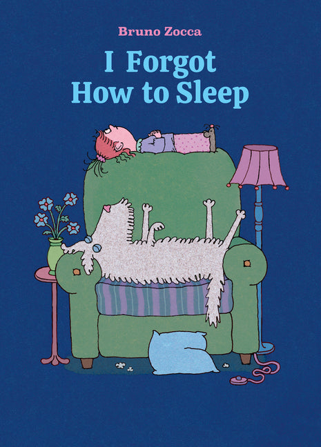Book cover for I Forgot How to Sleep