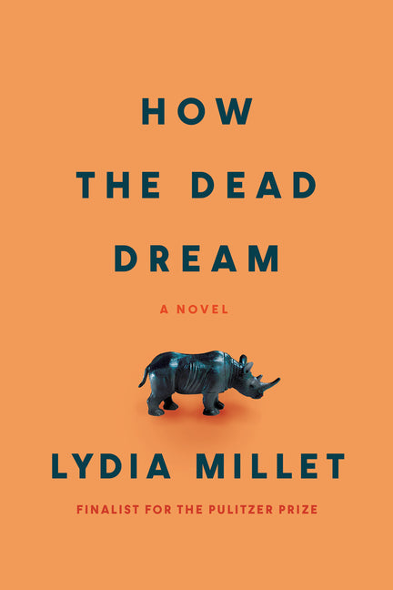 Book cover for How the Dead Dream