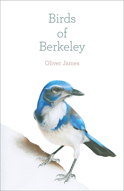 Book cover for Birds of Berkeley