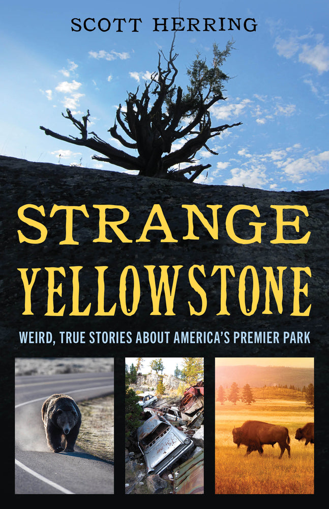 Book cover for Strange Yellowstone: Weird, True Stories about America's Premier Park