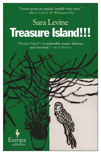 Book cover for Treasure Island!!!